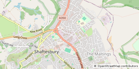 Map of Shaftesbury, Dorset