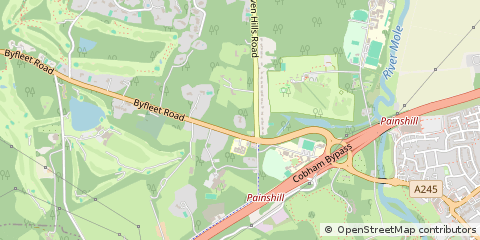 Map of Cobham, Surrey