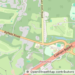 Map of Cobham, Surrey