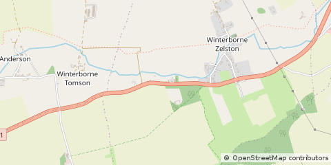 Map of Winterborne Zelston, Dorset