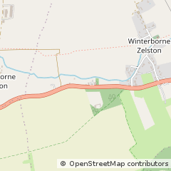 Map of Winterborne Zelston, Dorset