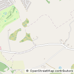 Map of Downpatrick