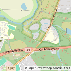 Map of Portsmouth Road, Esher, Surrey