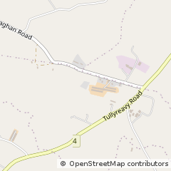 Map of Dungannon, Co. Tyrone
