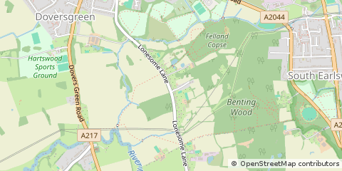 Map of Reigate, Surrey