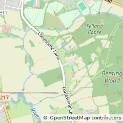 Map of Reigate, Surrey