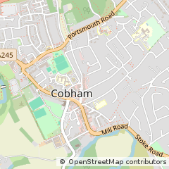 Map of Cobham, Surrey