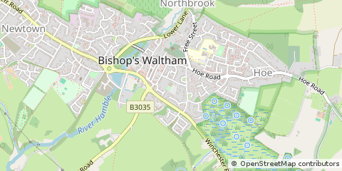 Map of Bishop's Waltham, Hampshire