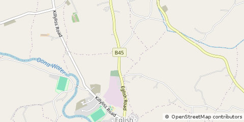 Map of Dungannon, CO. Tyrone