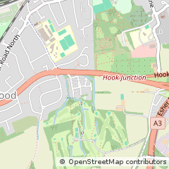 Map of Esher, Surrey
