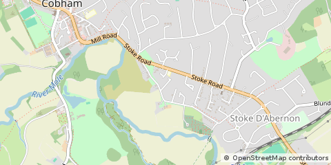 Map of Cobham, Surrey