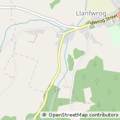 Map of Ruthin, Clwyd