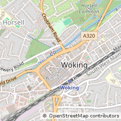 Map of Woking, Flintshire