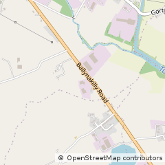 Map of Dungannon, Co. Tyrone