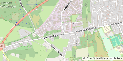 Map of Wimborne, Dorset