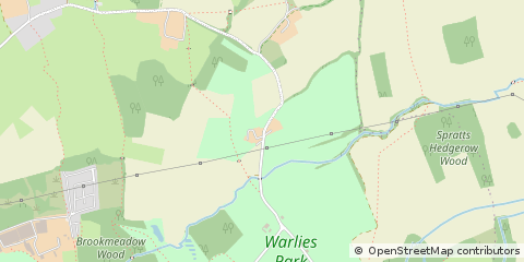 Map of Waltham Abbey, Essex
