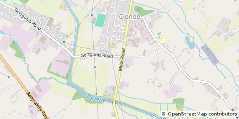 Map of Dungannon