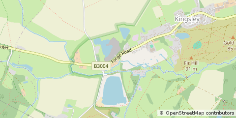Map of Kingsley, Hampshire