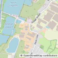 Map of Waltham Abbey, Essex