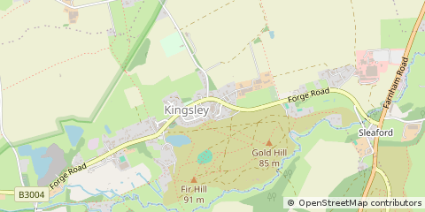 Map of Kingsley, Hampshire