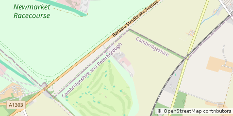 Map of Newmarket, Suffolk