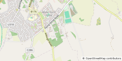 Map of Downpatrick, CO. Down.