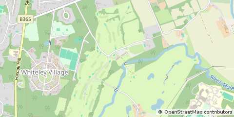 Map of Walton on Thames, Surrey