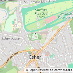 Map of Esher, Surrey