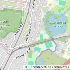 Map of Buckhurst Hill, Essex