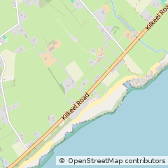 Map of Newry, Down