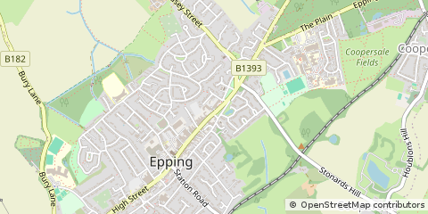 Map of Waltham Abbey, Essex