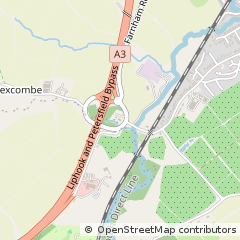 Map of Liss
