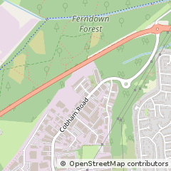 Map of Wimborne, Dorset