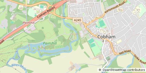 Map of Cobham, Surrey