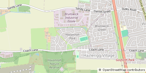 Map of Hazel Riggs, Newcastle Upon Tyne