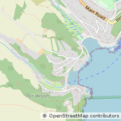 Map of Salcombe, Devon