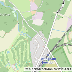 Map of Cobham, Surrey