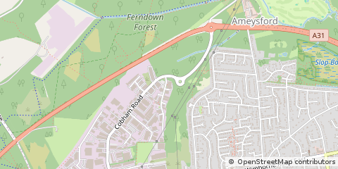 Map of Wimborne, Dorset