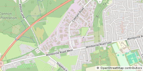 Map of Wimborne, Dorset
