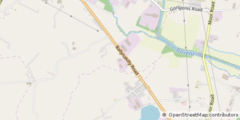 Map of Dungannon, Co. Tyrone