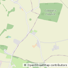 Map of Bromsgrove, Worcestershire