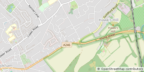 Map of Leatherhead