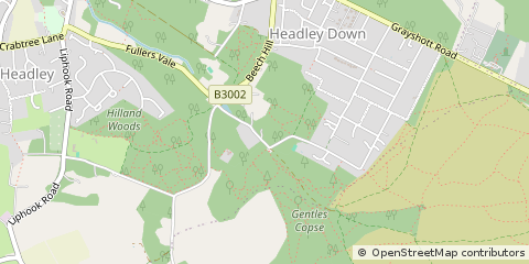 Map of Bordon
