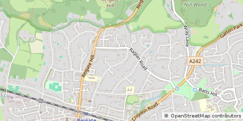 Map of Reigate, Surrey
