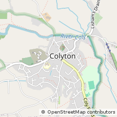 Map of Colyton, Devon