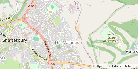 Map of Shaftesbury, Dorset