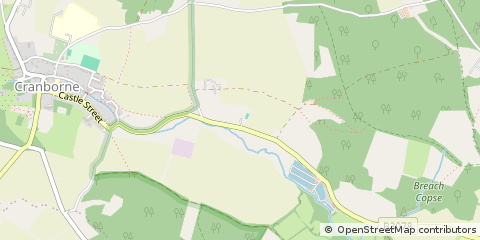 Map of Cranborne, Dorset