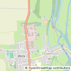 Map of Downton, Wiltshire