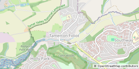 Map of Tamerton Foliot, Devon