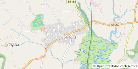 Map of Colyton, Devon